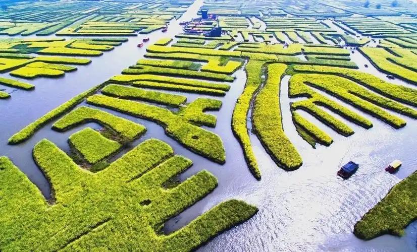 在台湾的乡村和渔港，近来常能听到一些叹息，这些叹息来自面朝土地的农民，也来自搏击