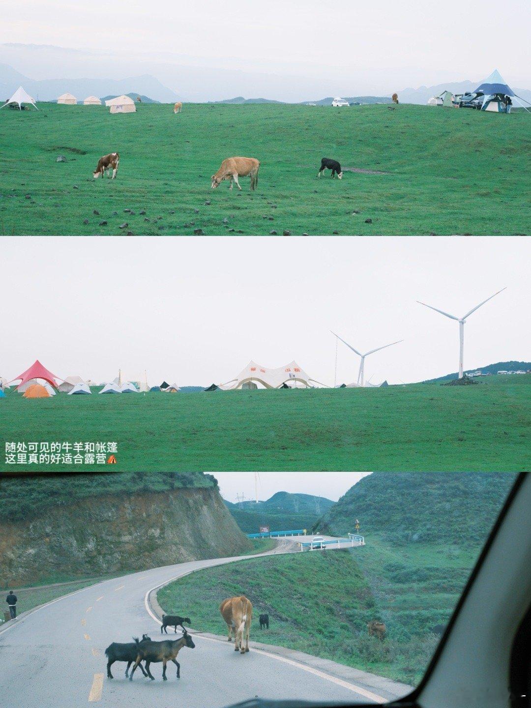 ⛰️乌蒙山大草原发现居然没有发过vb哈哈今天整理了那天的照片还是很感叹大自然太美