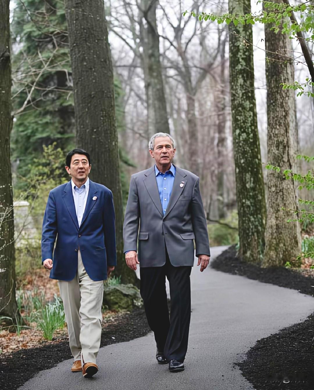 这张旧照定格了日本前首相安倍晋三与美国前总统小布什在戴维营林间漫步的场景。两人身