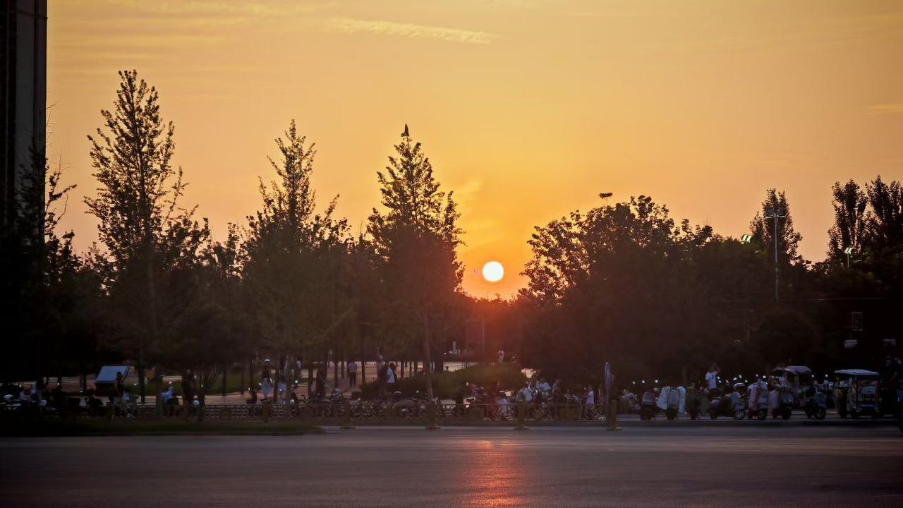 ​
2. 城市归于温柔，落日悬在林间，车来人往皆是生活，平凡黄昏，藏着最踏实的人