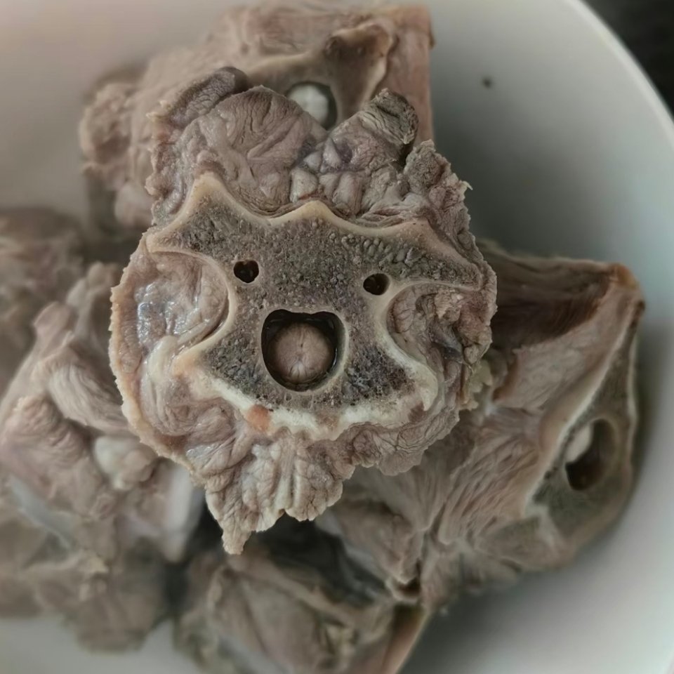 排骨也知道要过年了！ 