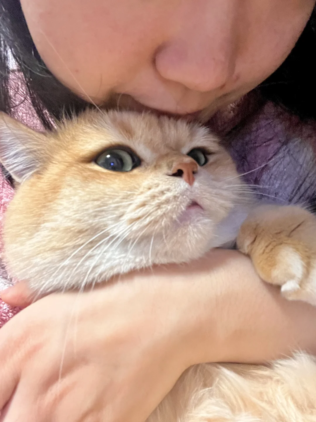 冬日专属暖手宝 从头暖到脚🐾