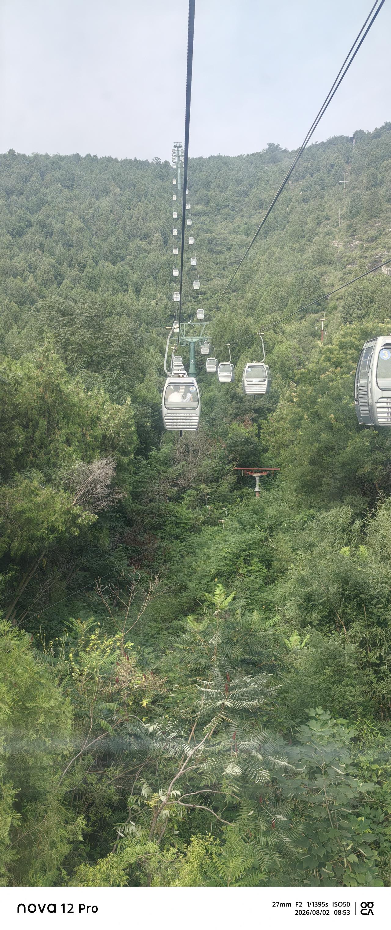 你压不住的东西， 它都会挂在你的脸上， 透在你的气质里面。 驾驭不住的东西，它才