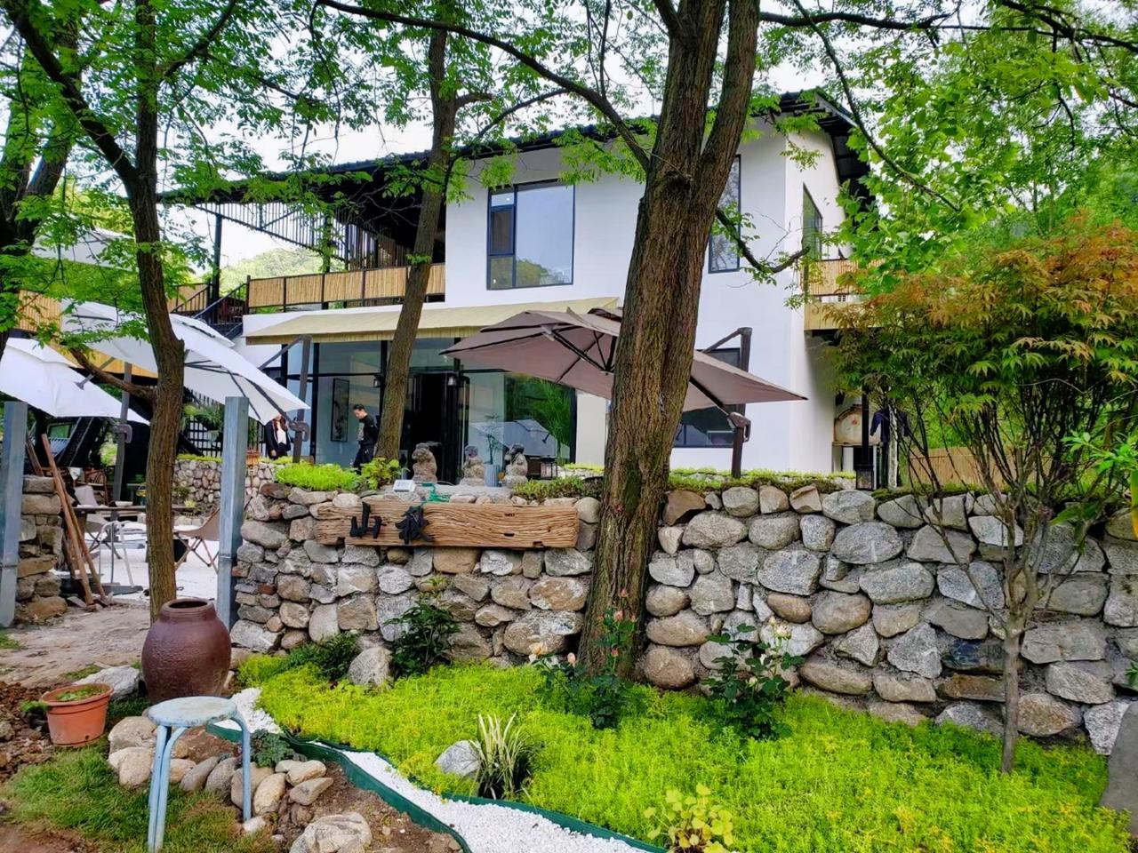 秦岭 西安旅游 #茶馆