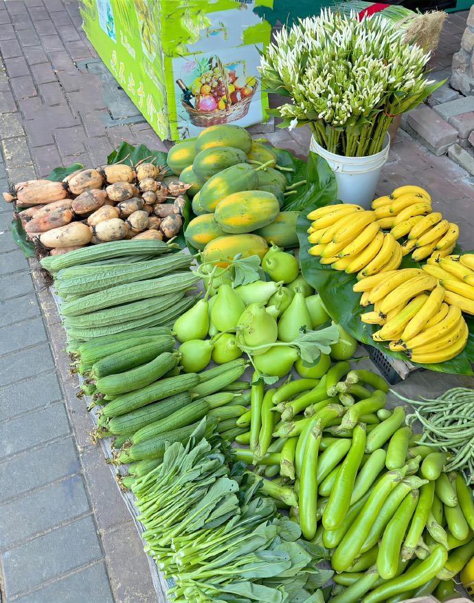 这蔬菜一看就健康