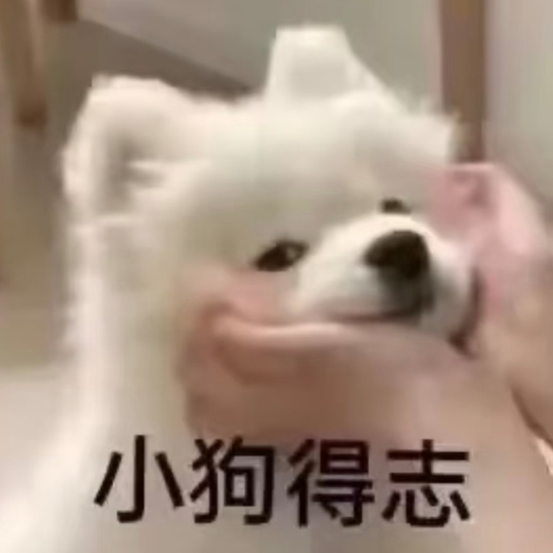 张峻豪现在在我眼里就这样 
