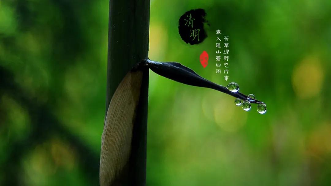 一年一清明，一岁一追思，这一天寄托的是：我们对故土和故人的一往情深。
在我们扫墓