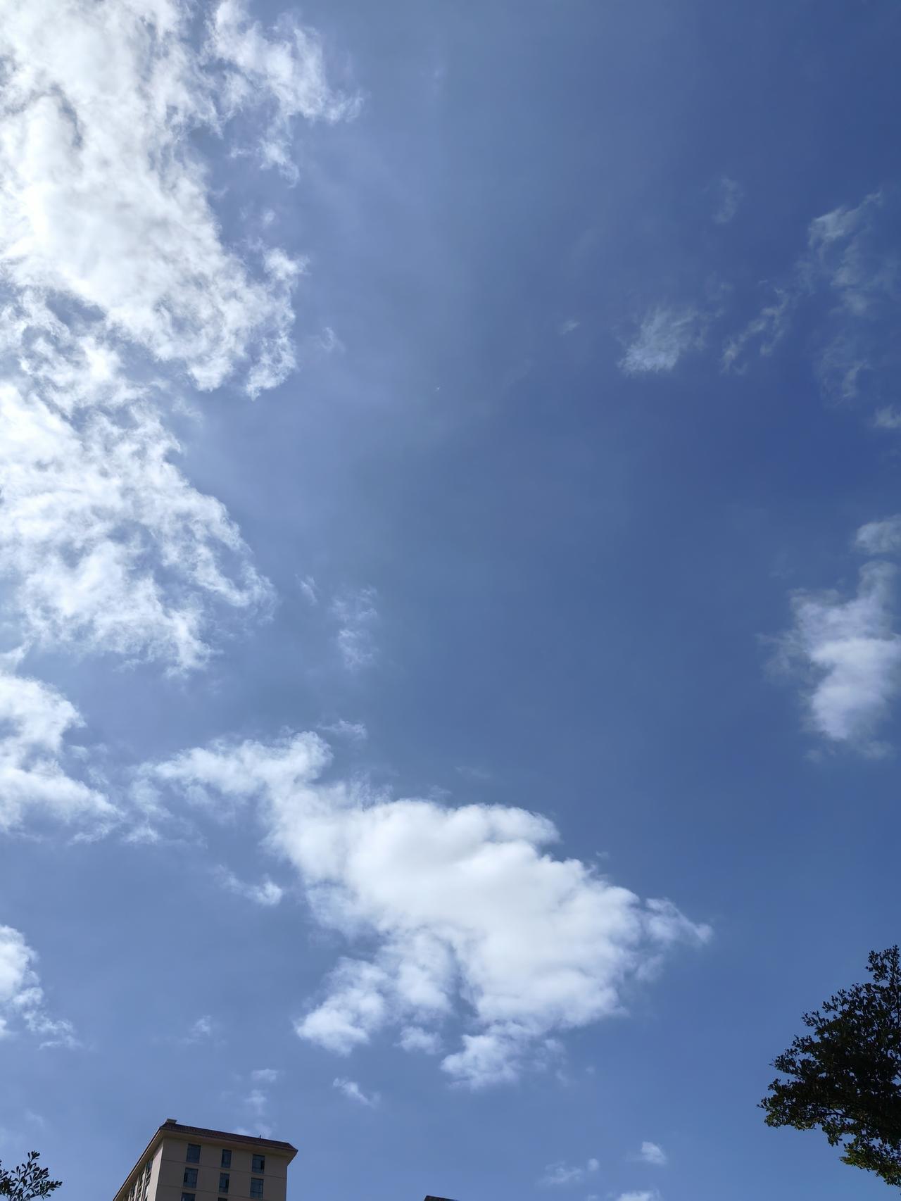 今天的阳光好明媚
但是赶不走有的人心里的阴霾
电视剧里总是说重来一次
但这只能是