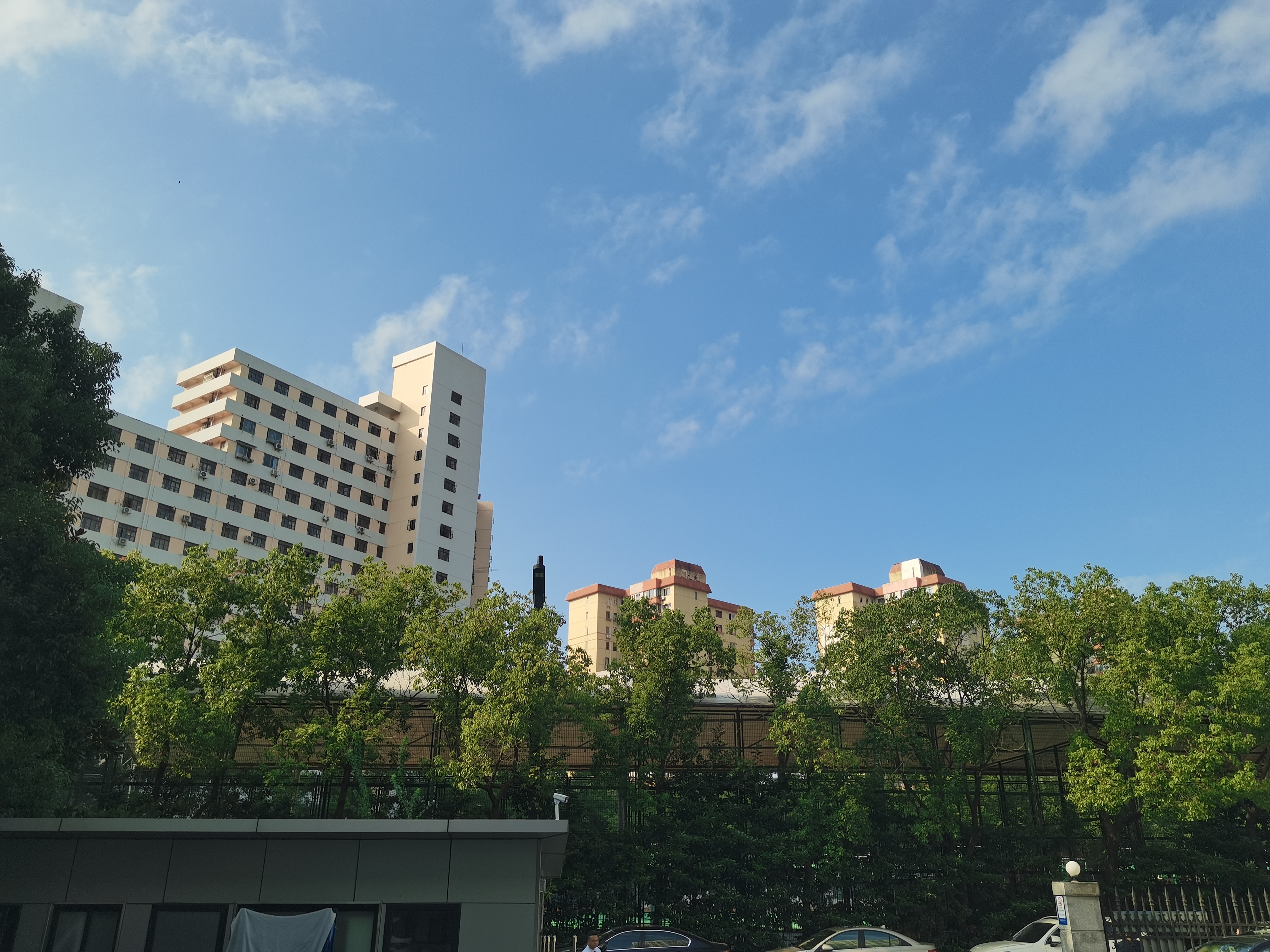 早晨晴朗。 ​​​