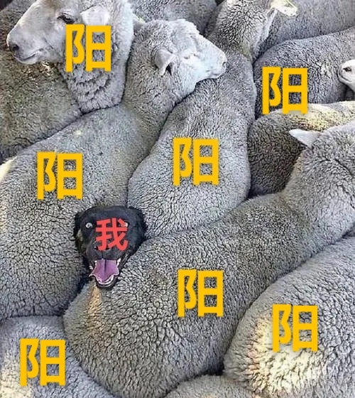 在这个地方，就这个状况[允悲][感冒][感冒][感冒][感冒]  ​​​