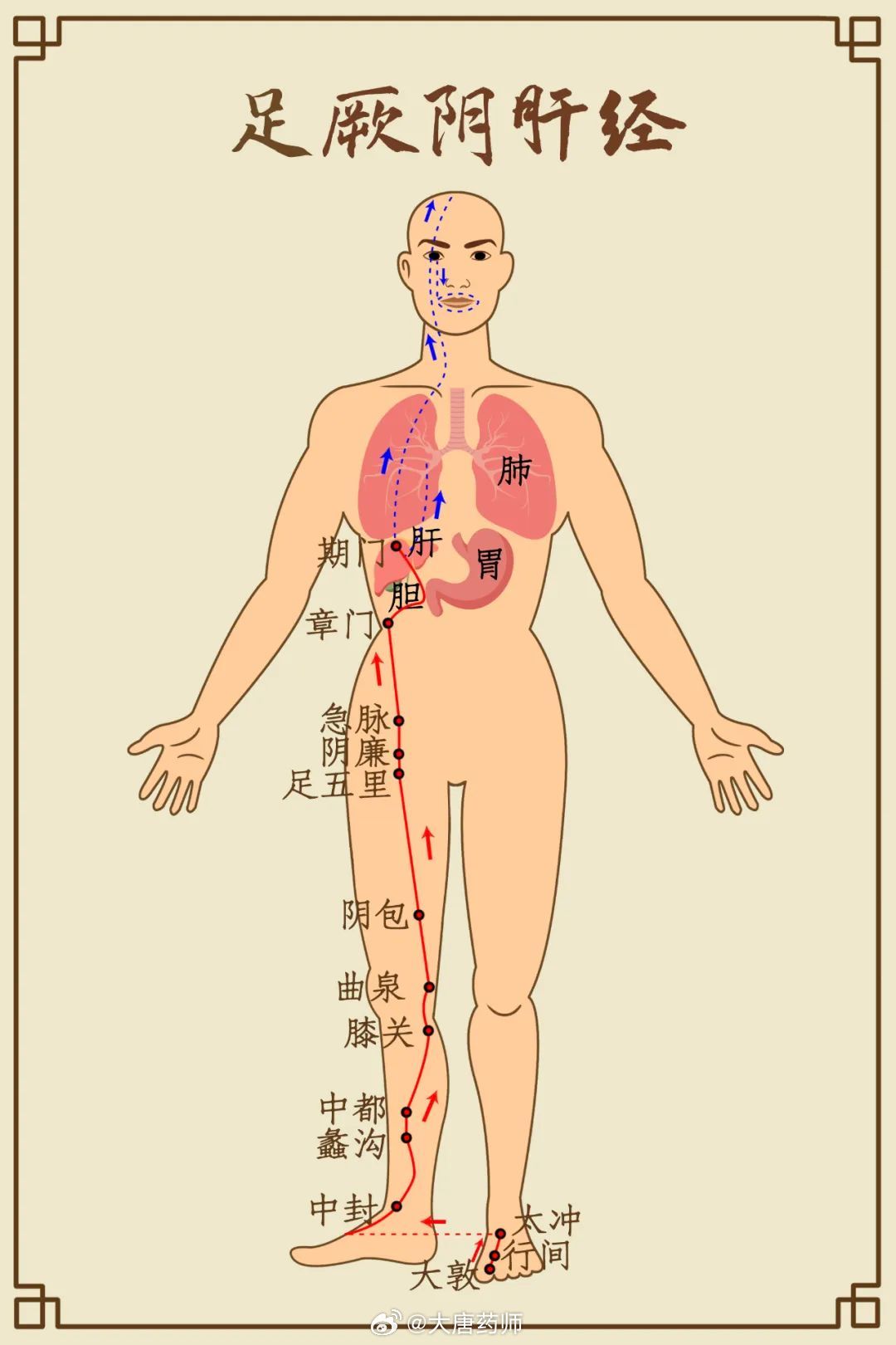 肝胆二经垃圾多，你的寿命不会长！这俩穴位来帮忙！自古以来，人们都在追求长寿之道。