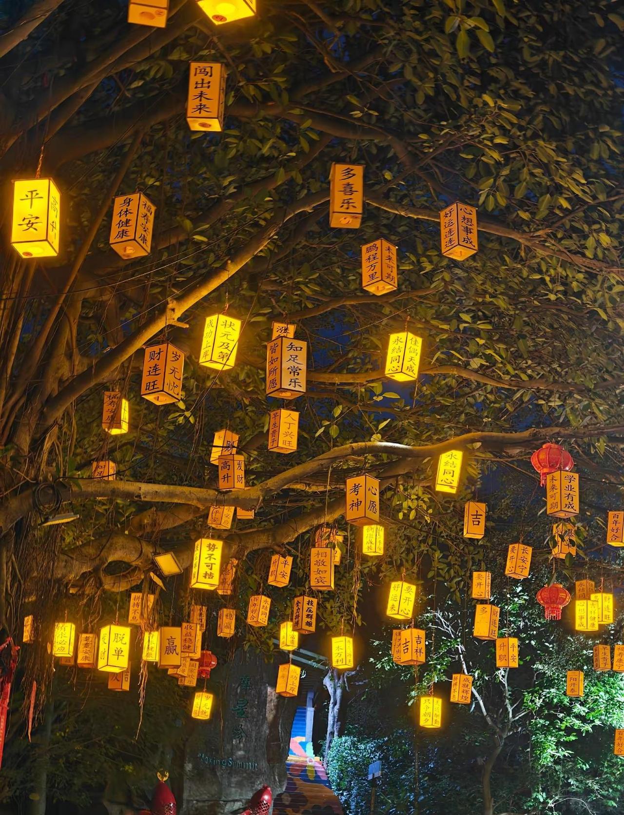 夜色作伴，山野同行，夜爬白云山