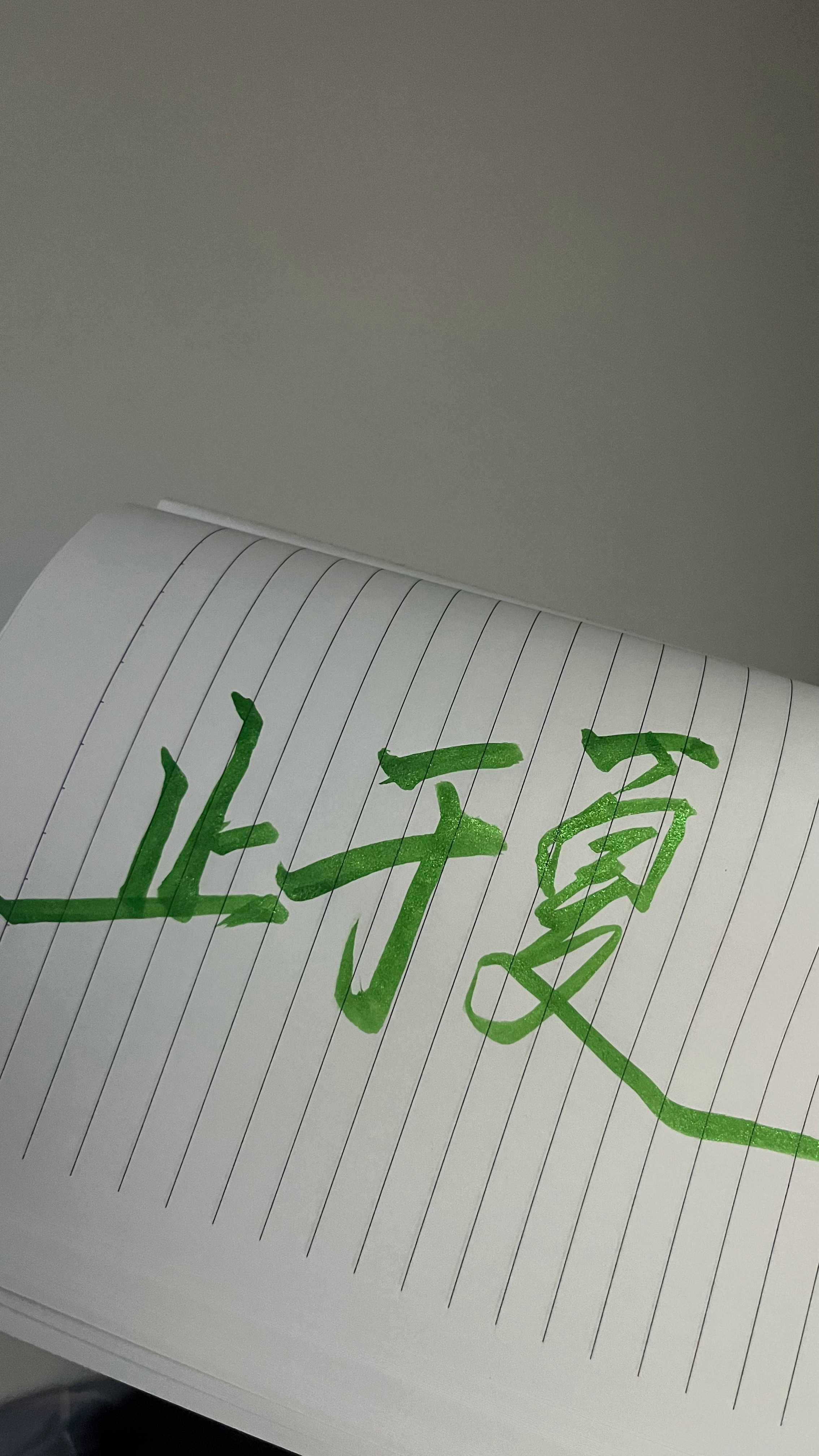 止于夏[超话]  来个蝴蝶笔[加油] ​​​