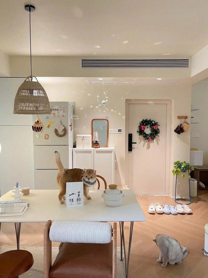 一人三猫的奶油风一室一厅..哇哦.. 