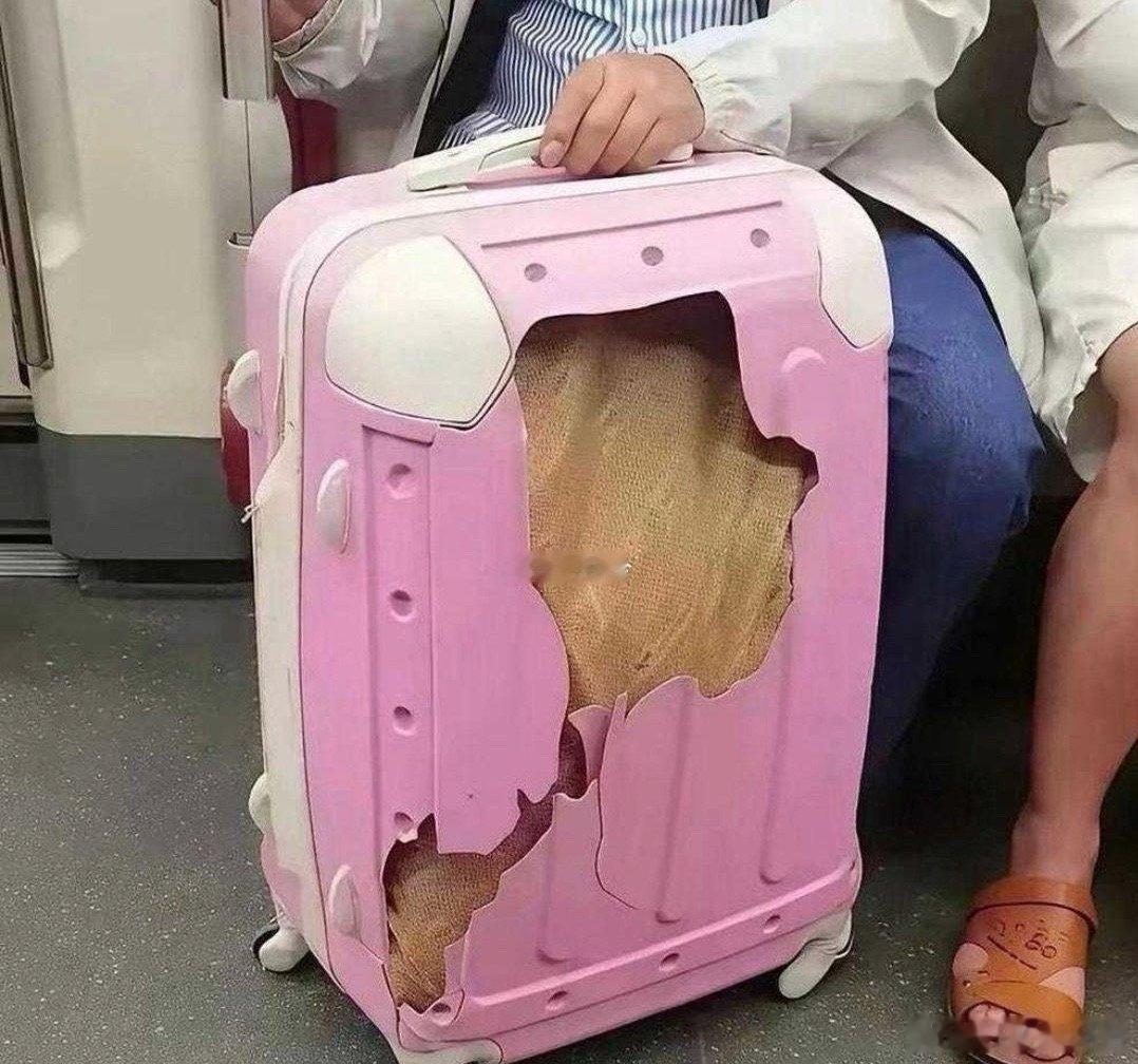 还以为是个破箱子结果是我看错了！ 