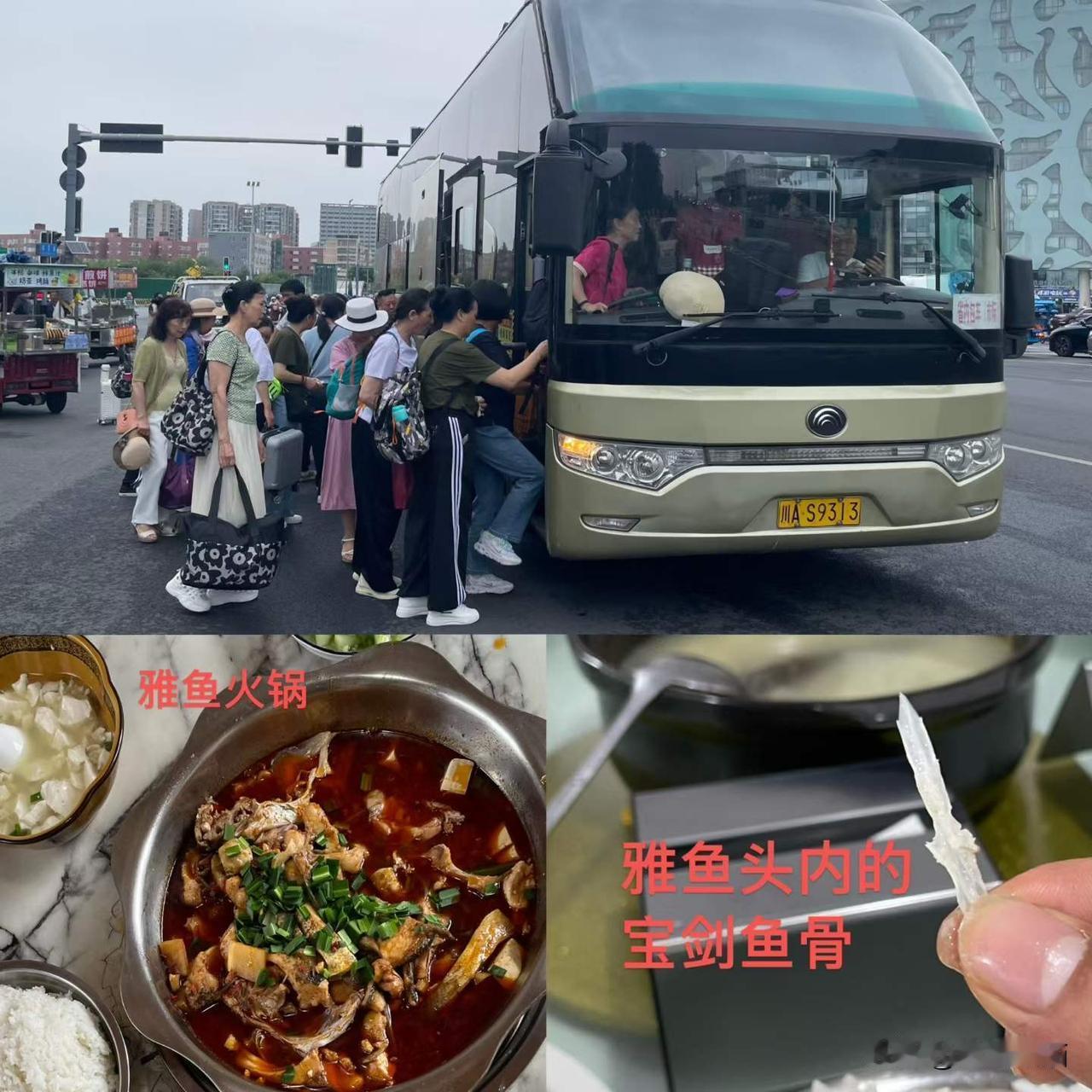 军旅红星艺术团部分团友（3个节目组）出游雅安，暑假3天游览了“千里江山图”茶园、
