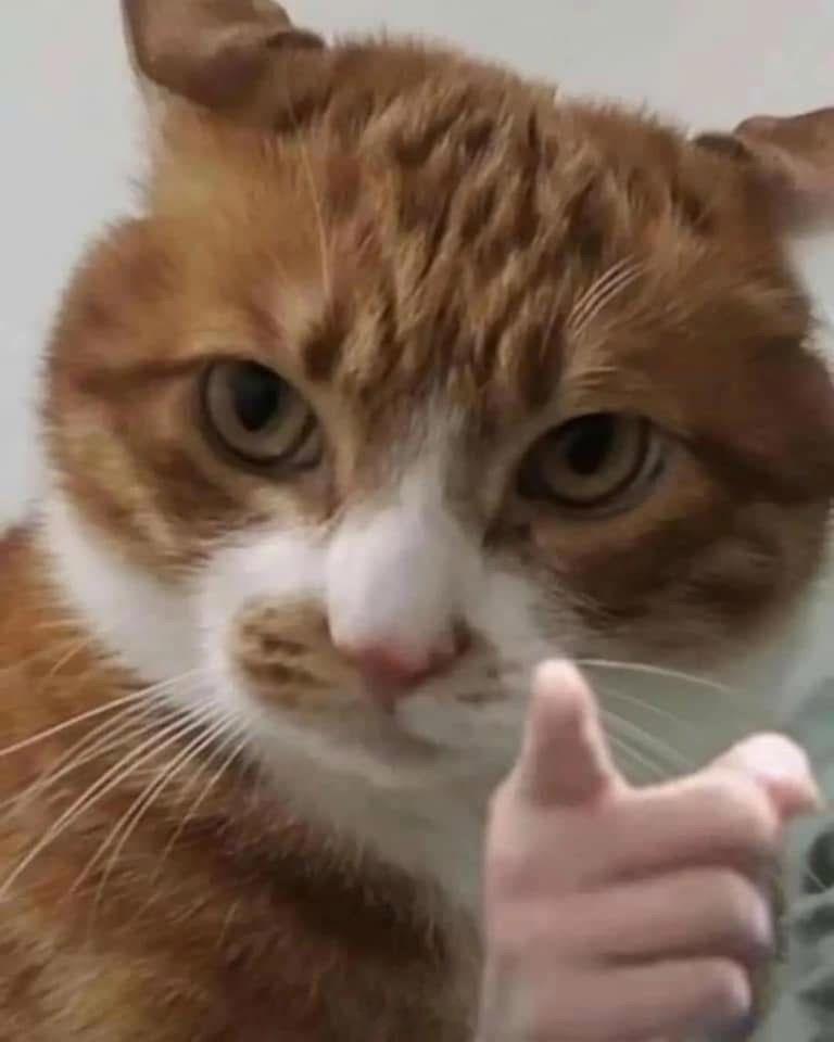 健身房的属性是啥？是直面痛苦又偏带社交属性的运动场所。这就好比冉莹颖投资的少儿豪