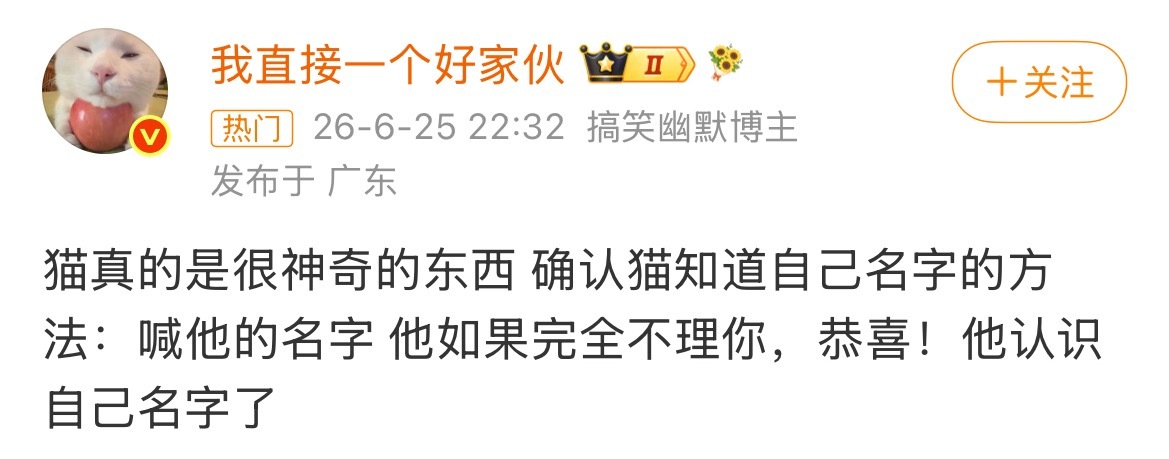 它故意的 