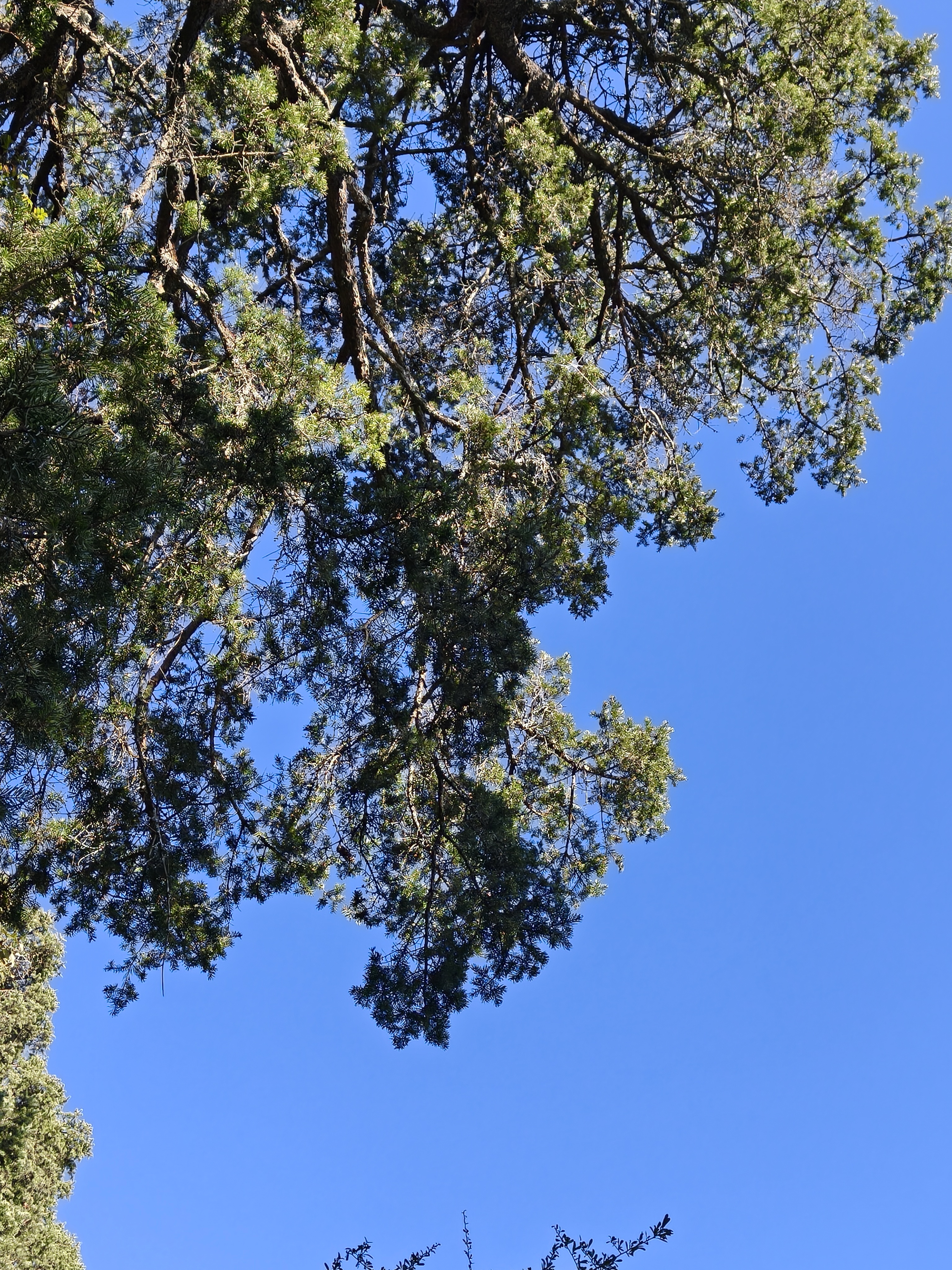 大早上出发来开庭，原告没来直接撤诉处理，一句话没讲律师费到手……来都来了，天气又
