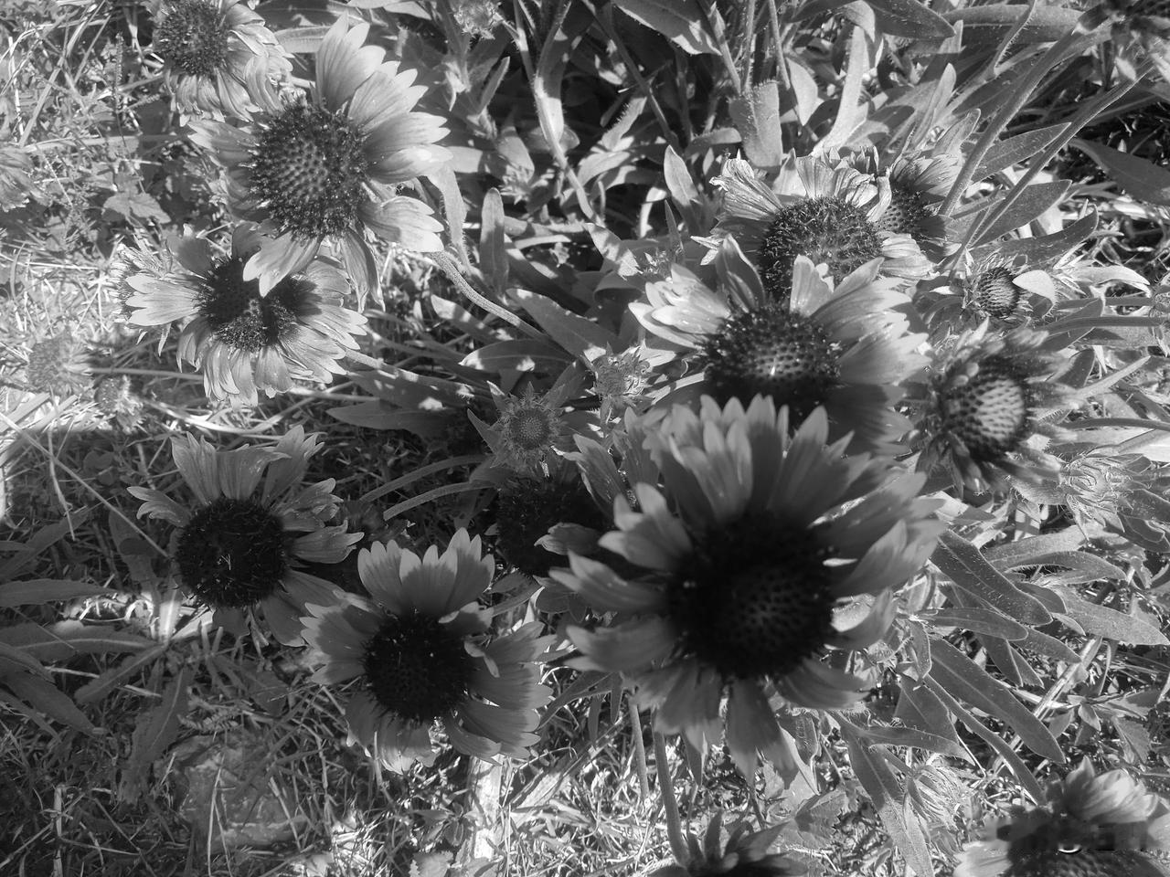 村人说，李老汉怕火化，吃毒药死了。李老汉一生性格要强，老了，7O多，半瘫，老伴早