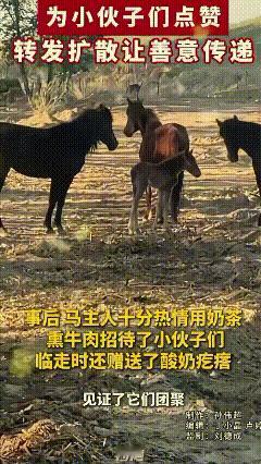 太感动了！新疆塔城•沙湾市，一小伙上山游玩时捡到一匹走失8天的小马，饿到皮包骨，