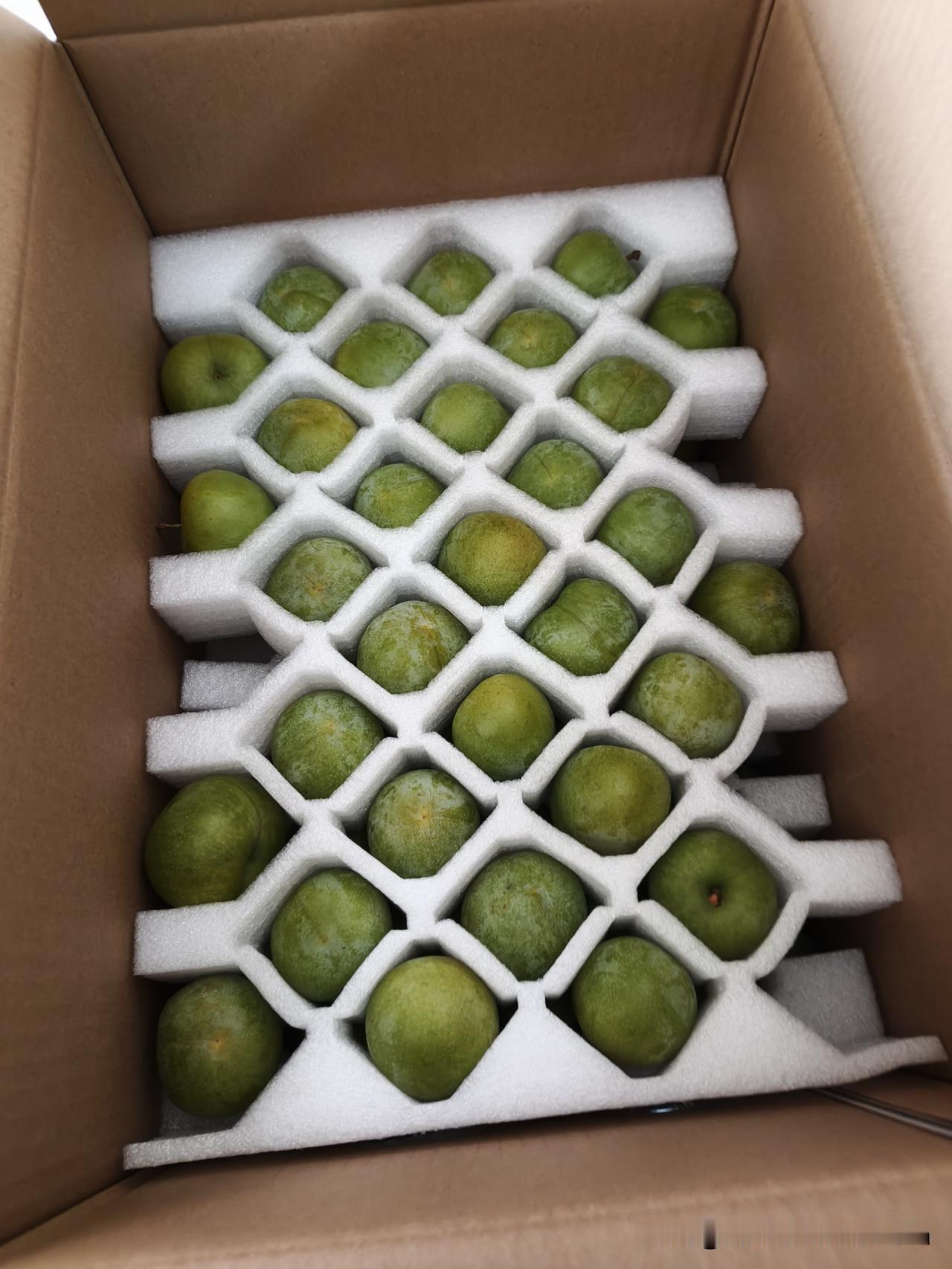 我小时候的糗事，偷李子；


昨天，宝爸的朋友送了两箱李子过来，这李子很脆甜，比
