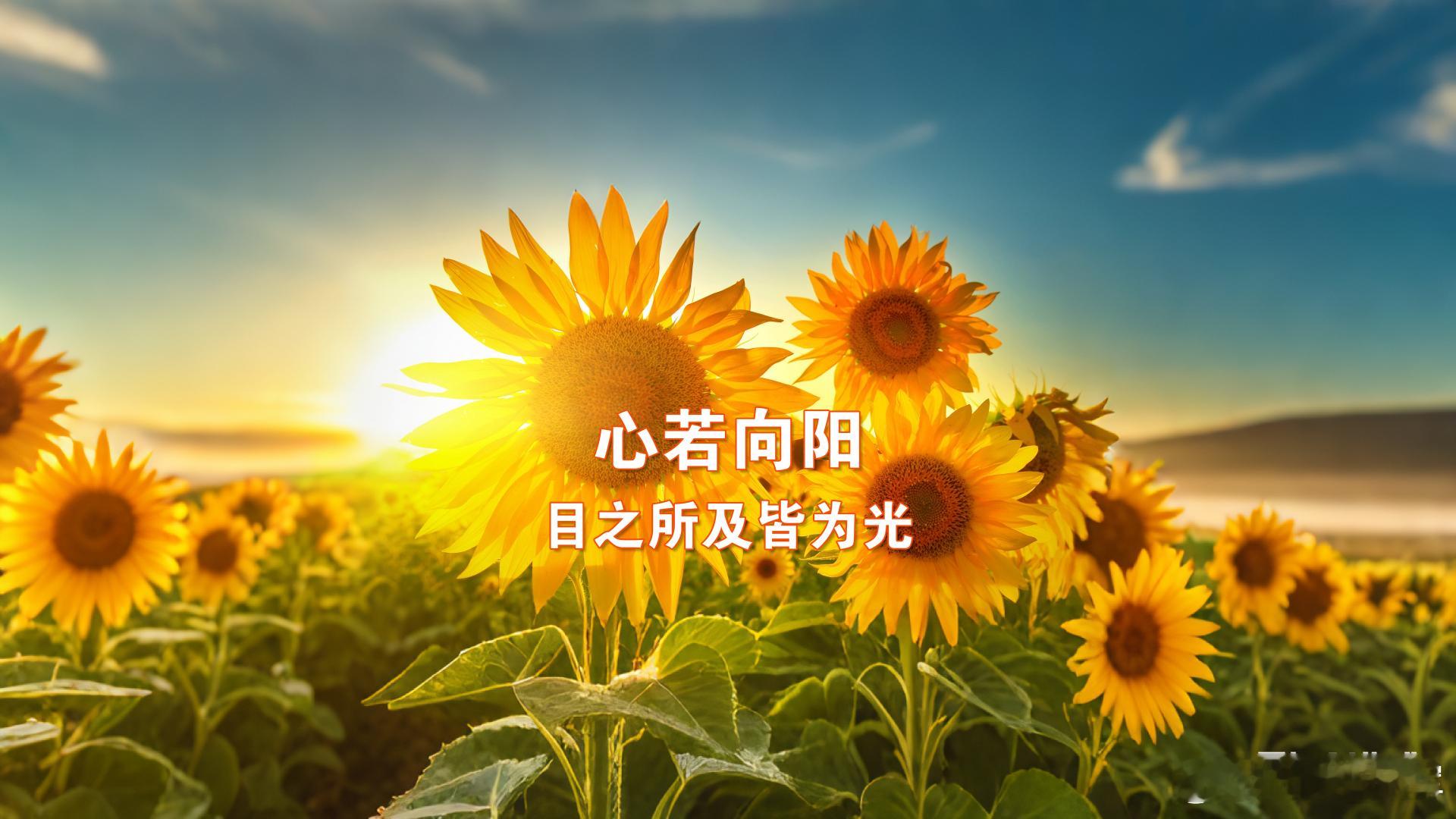 什么是天人合一？🌿1️⃣ 天人合一就是：跟着自然走，而不是跟自然对着干。春天吃