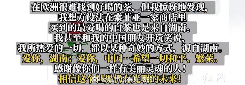 海外网友说自己因成毅爱上湖南的美景与人文深情告白留言被湖南湘西的全国人大代表热情