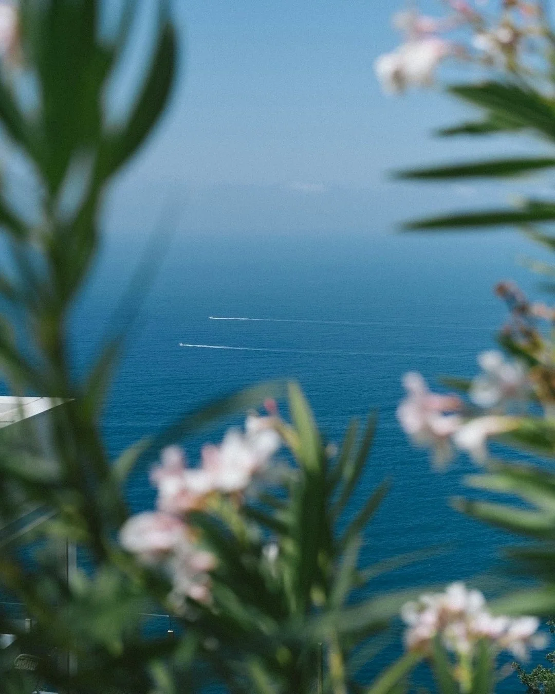 “𝓢𝓹𝓻𝓲𝓷𝓰 𝓒𝓸𝓪𝓼𝓽”