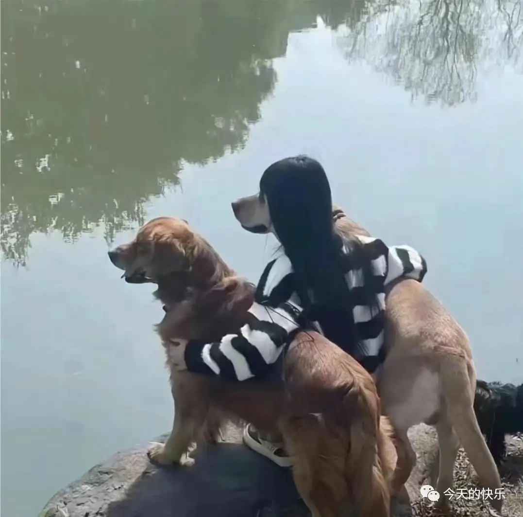 令人窒息的拍摄角度[流泪]<img src=