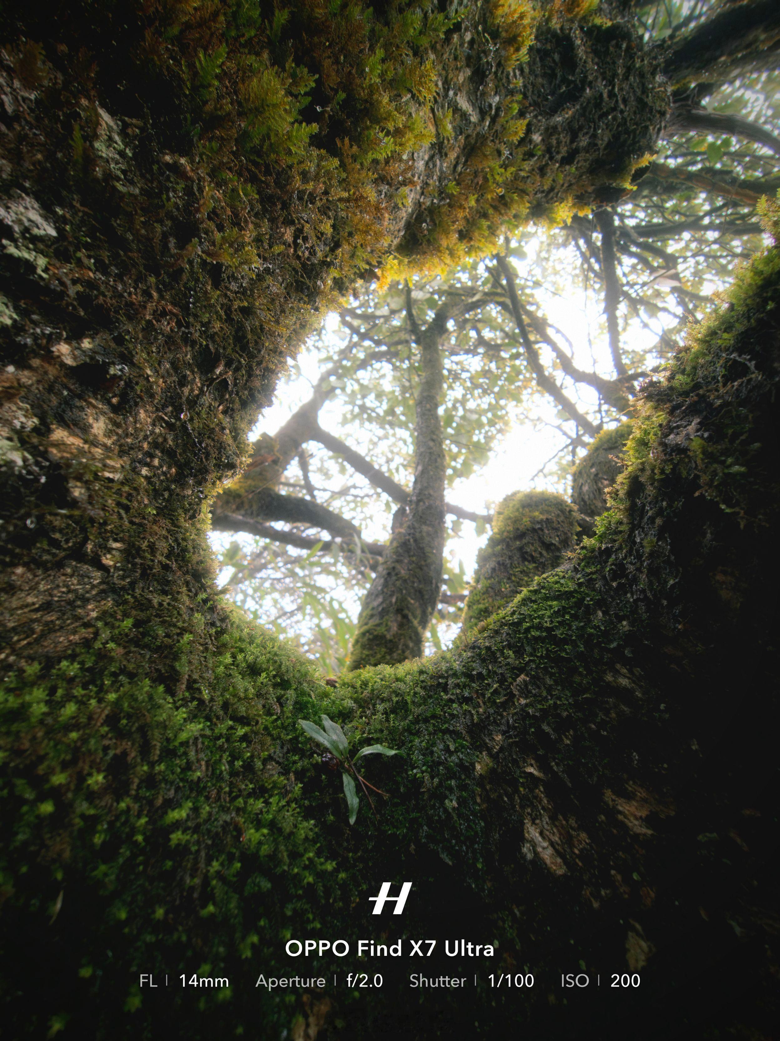 早☀️作为全网最关注外观设计的博主今天9点看我聊OPPO Find X9 Ult