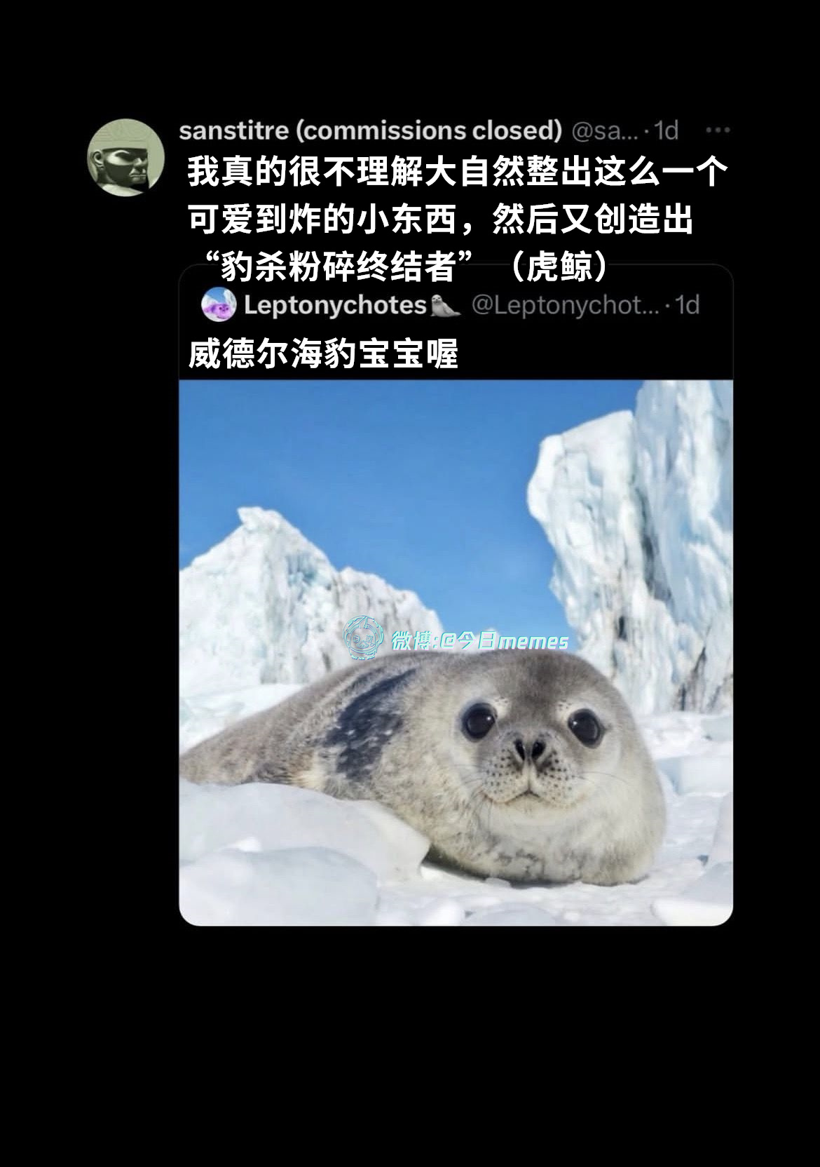 为你而来（9gag）今日meme 今日memes
