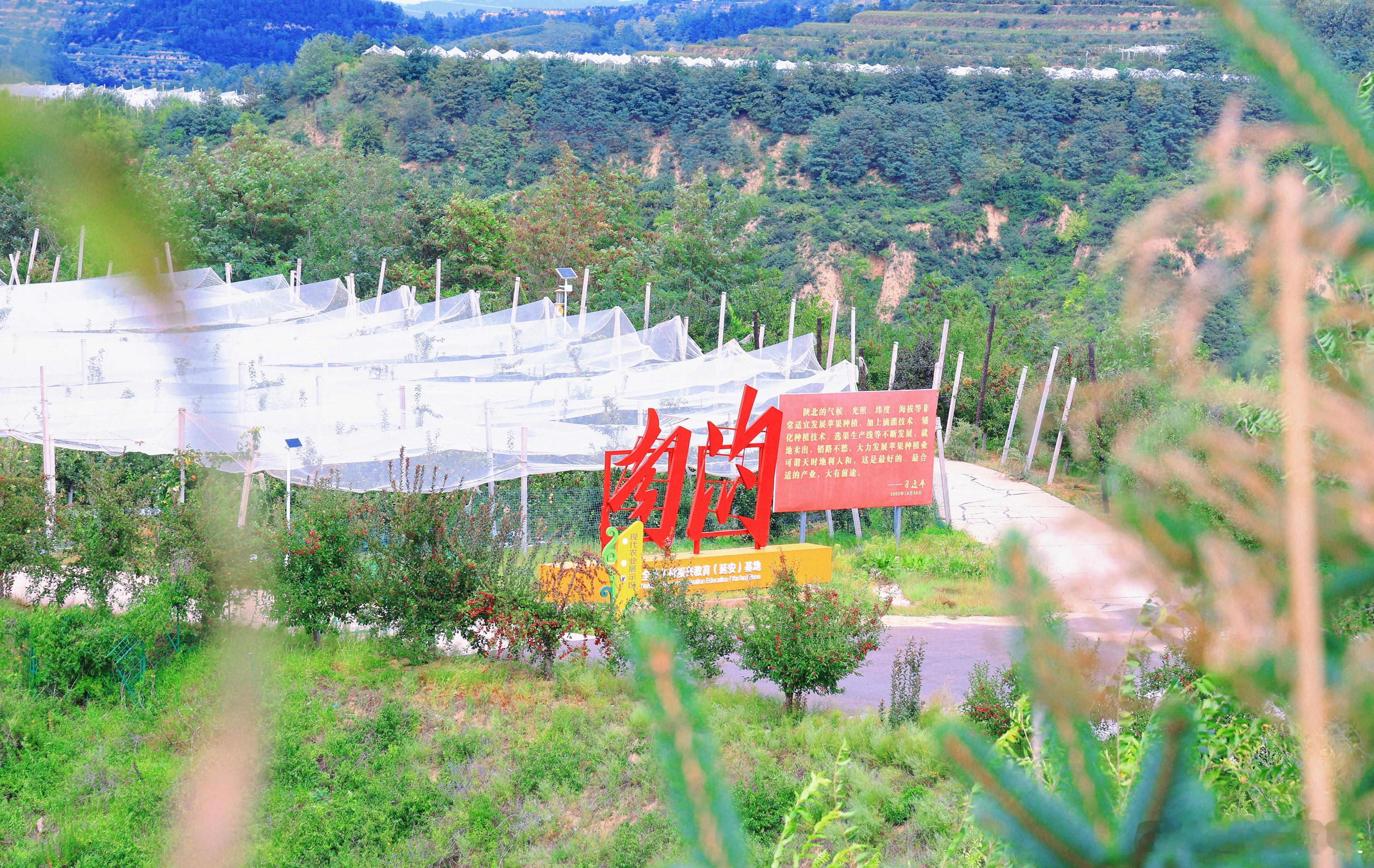 #新时代的黄河故事#走进延安市安塞区高桥镇南沟村，一眼望去，天空明净，山峦叠翠，