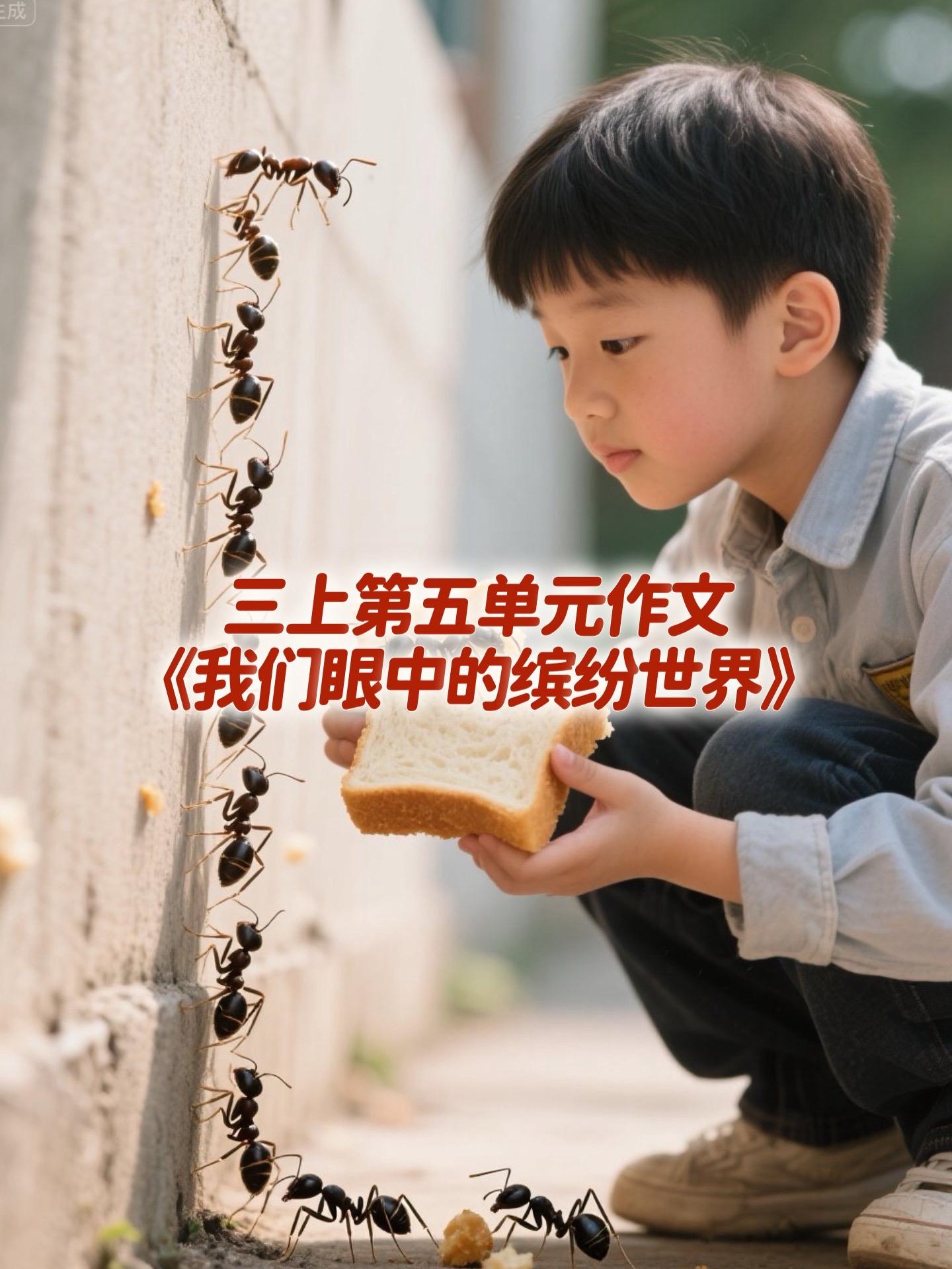 《我们眼中的缤纷世界》 优秀范文。家长必读，小学三年级上册第五单元习作...