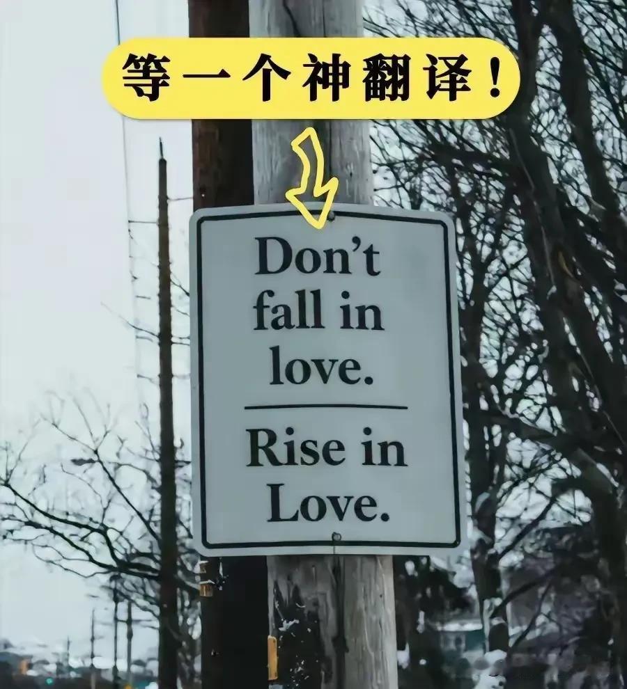 以你的英语水平，这句话究竟该怎么翻译？
