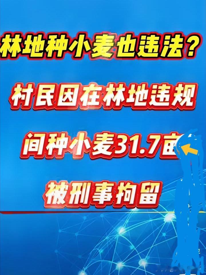 震惊！种粮竟触刑律……
 
家人们，你们能想象吗？辛辛苦苦种地，最后等来的却是警