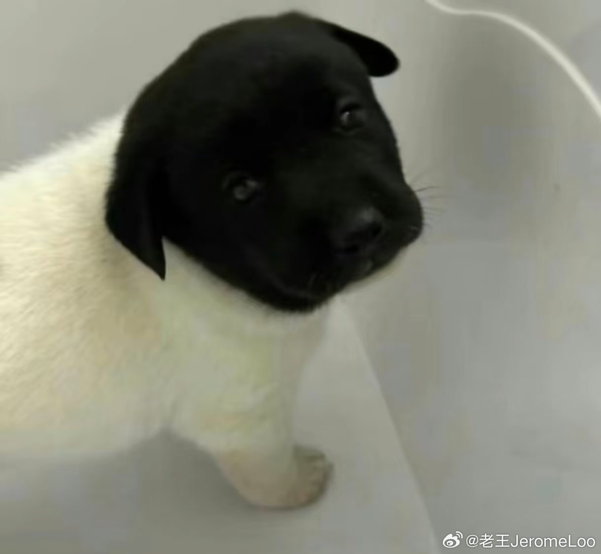 A股股民：他不打我的时候，对我还蛮好的 ​​​