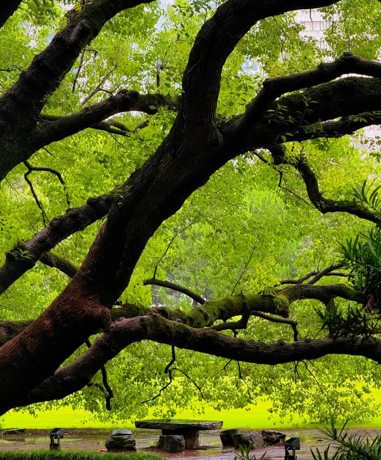 你接受不了一点恶意 是因为你对他人从无恶意
这个世界每个人都认为自己是正常人
我