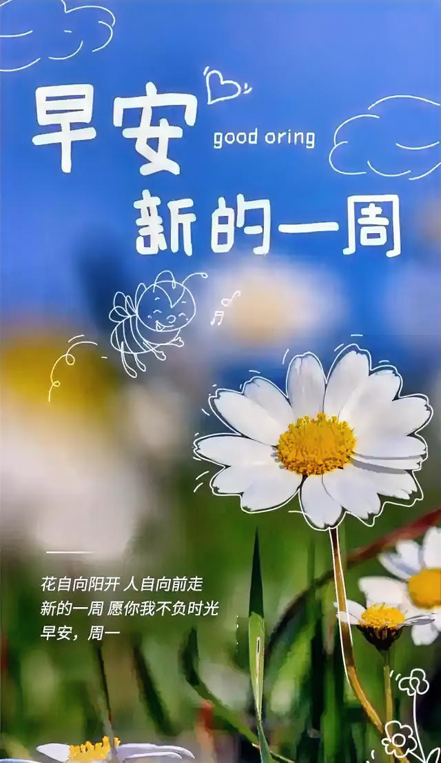 早安，新的一周，愿你不负时光！🌻💛