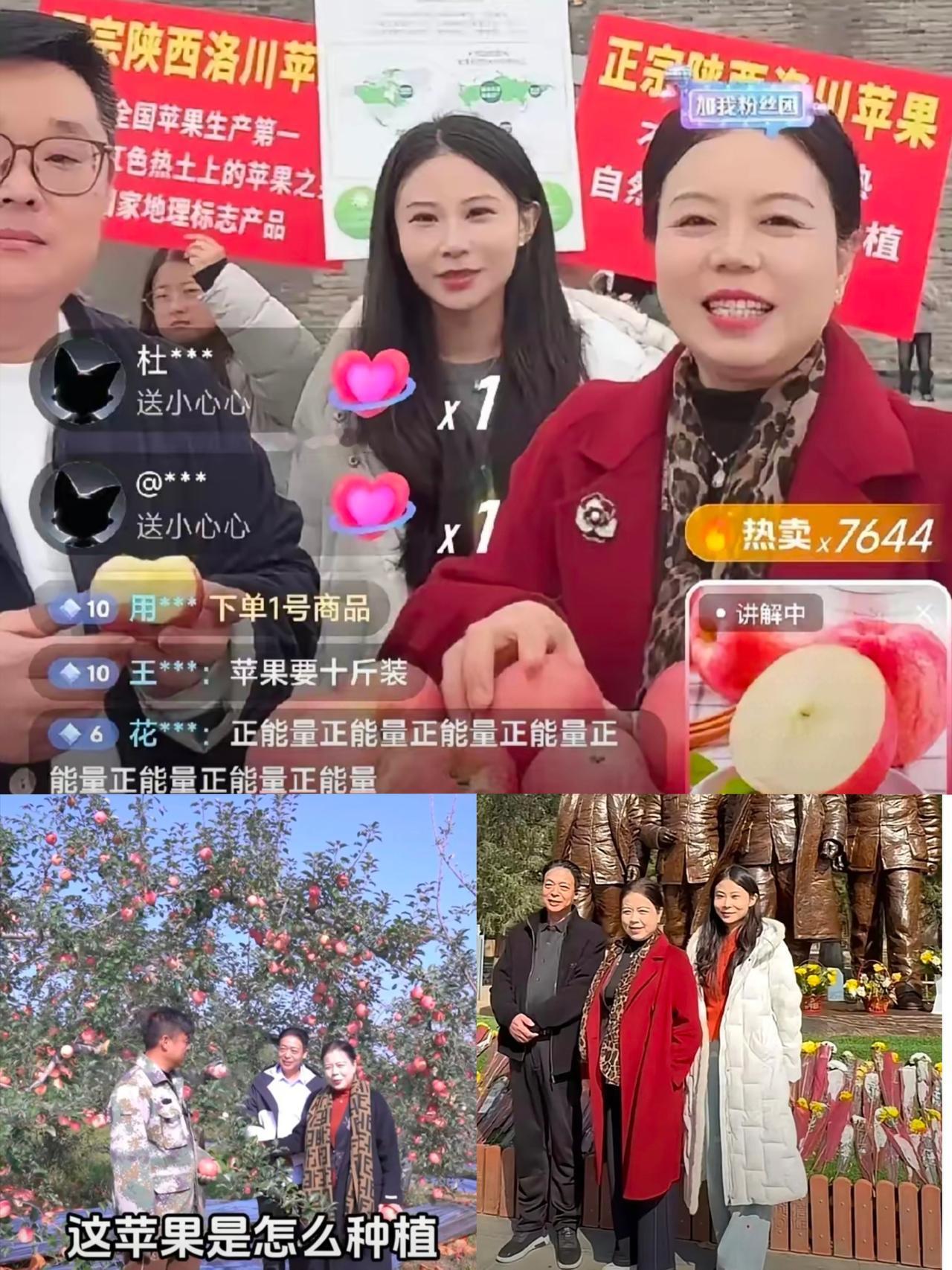 许姚作为老党员，
退休后发挥余热，在革命圣地助农，
人畜无害利国利民，合理合法合