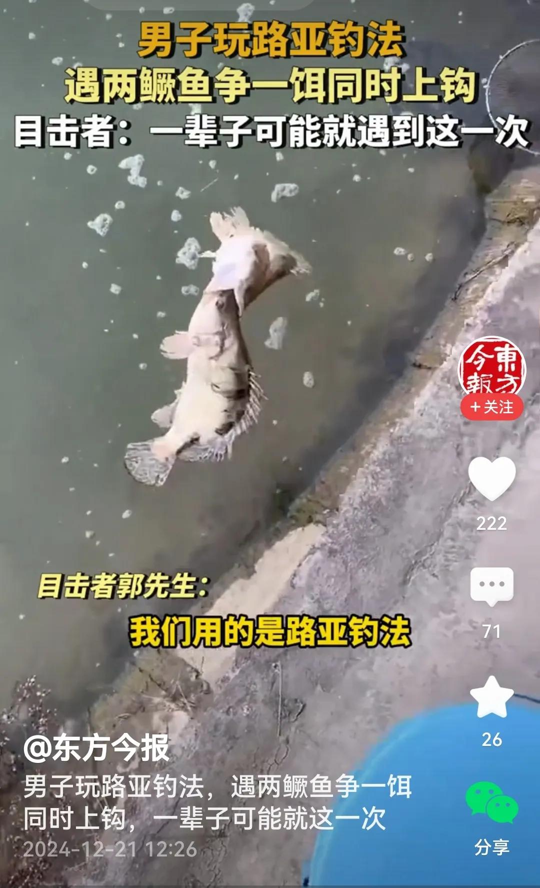 看过视频，劝这位钓友一句，把这两条鱼同时放生吧！为啥？两条鱼儿争饵，看似渔翁得利