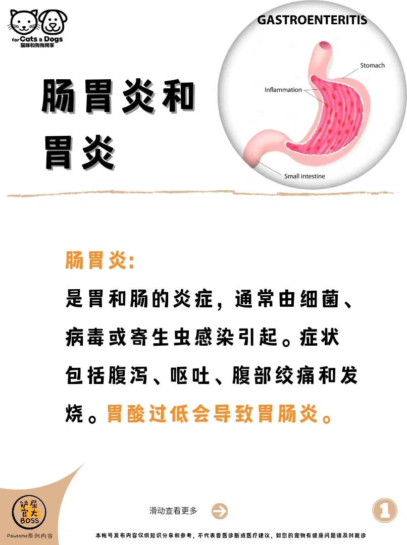 肠胃炎和胃炎