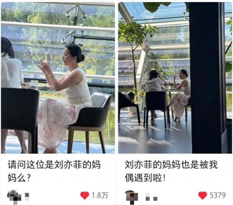 惊艳众人！刘亦菲妈妈近照流出，优雅依旧，戴百万手镯不惧流言！ ​​​
