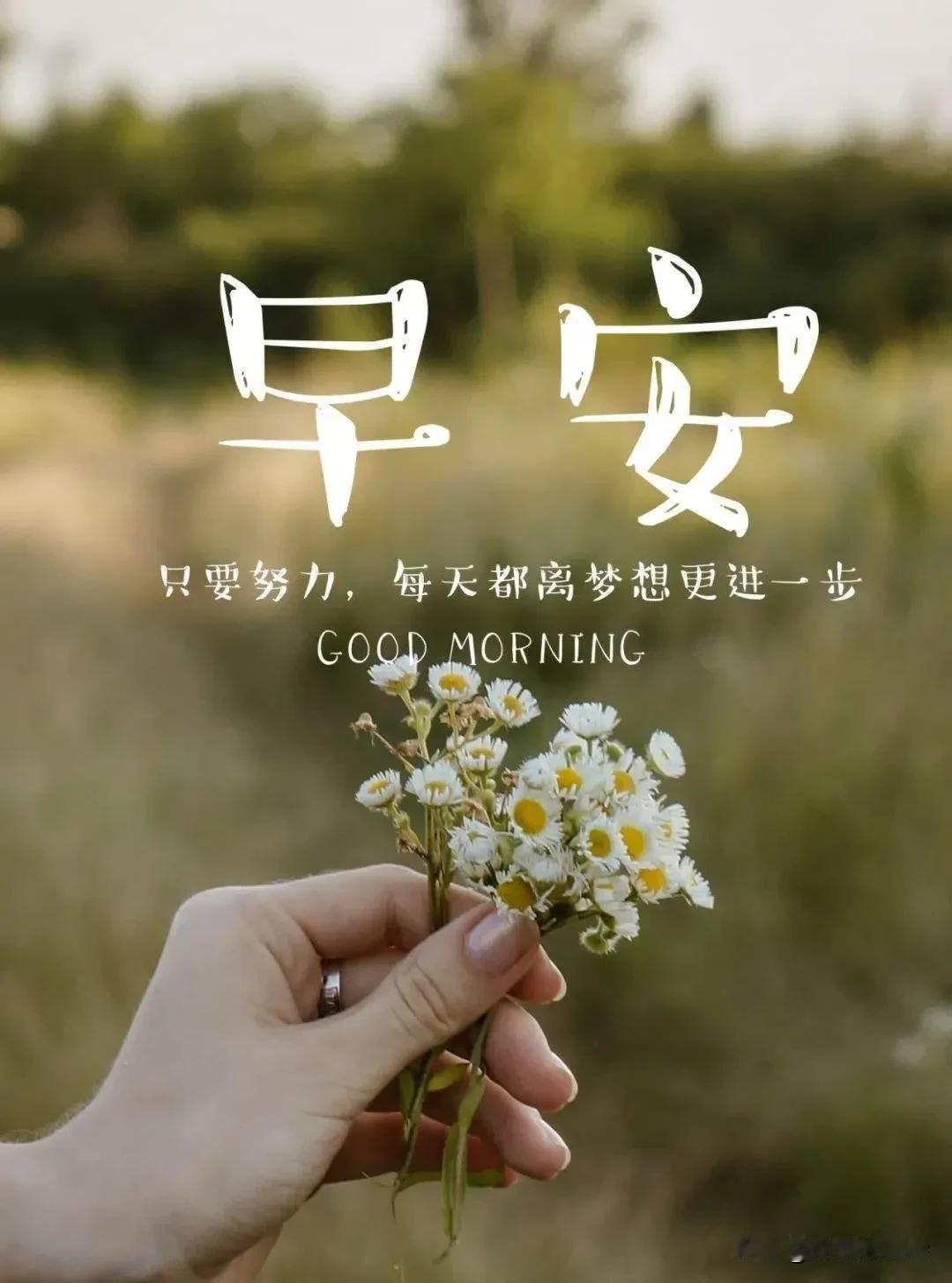 一句话分享今日感悟早安！新的一天是生命的重启键，愿你带着希望出发，用努力浇灌梦想