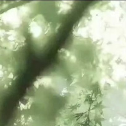 阳光信用🌈阳光信用 每日‬一善   懂得尊重别人，也尊重自己的心声，学会调整，