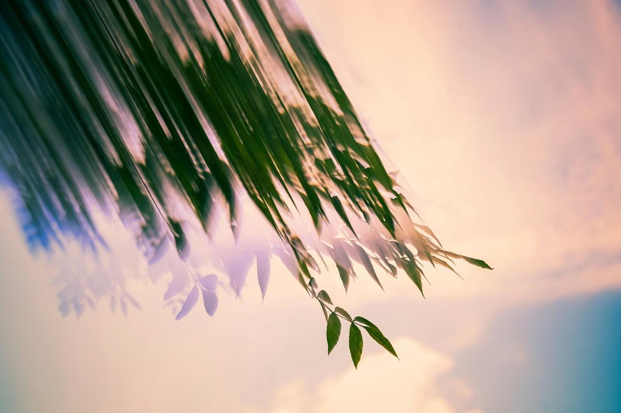 人的一生基本就这10样了：
1、性 生活：约2500~3000次 2、睡觉：约2