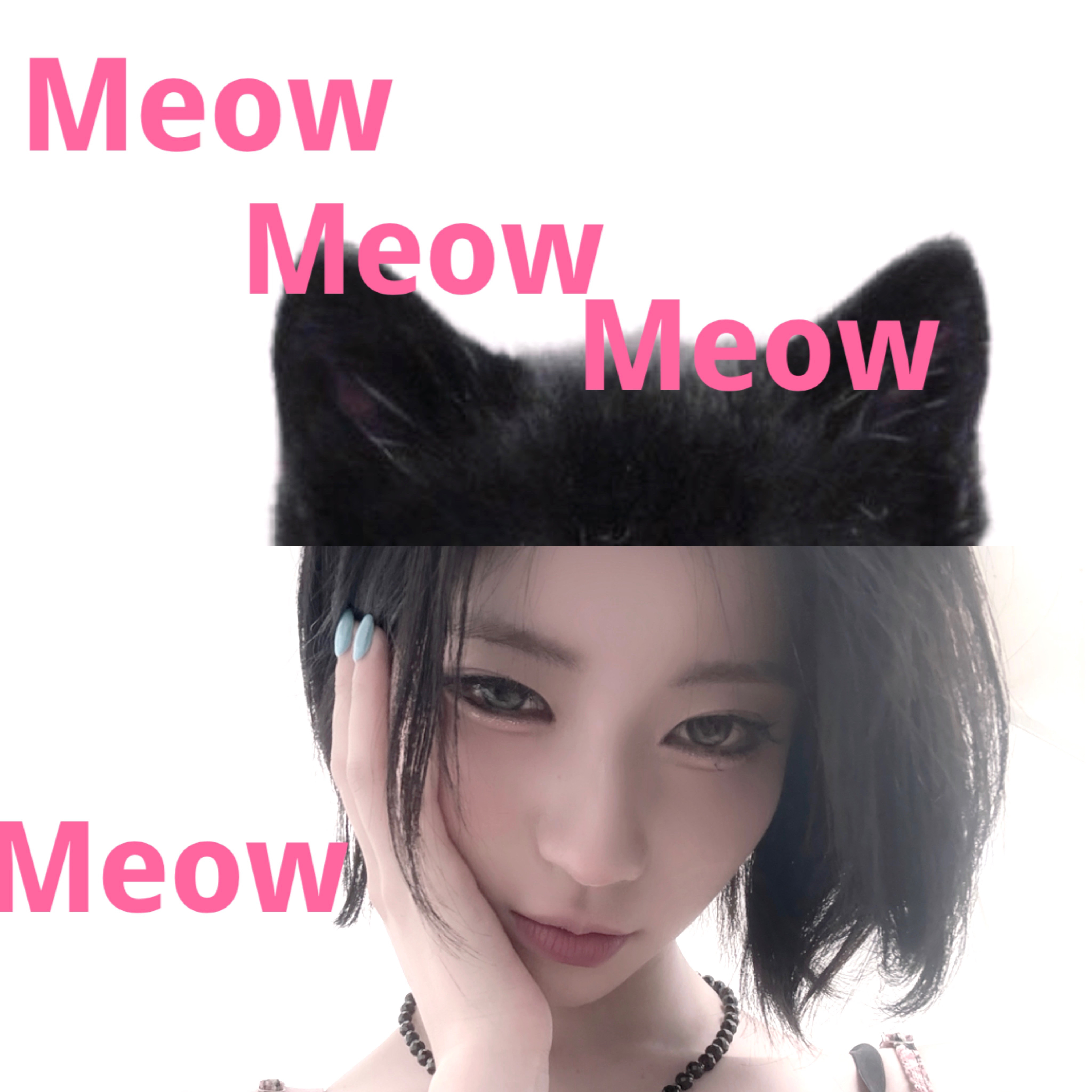 260904 ASA wvs🐈‍⬛ ​  ​​​