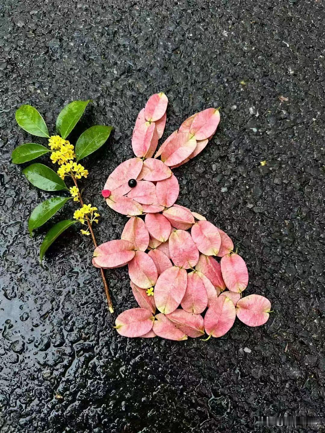 随手拍张图，分享美好瞬间