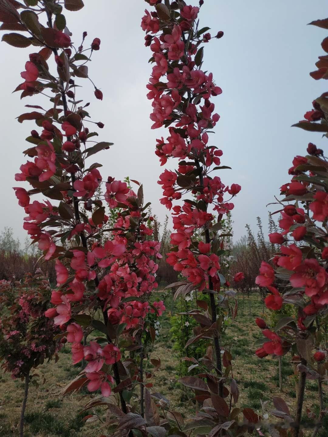 深证成指周线6连跌，熊市悄然到来？

入市19年老股民7月30日侃股：仅供参考！