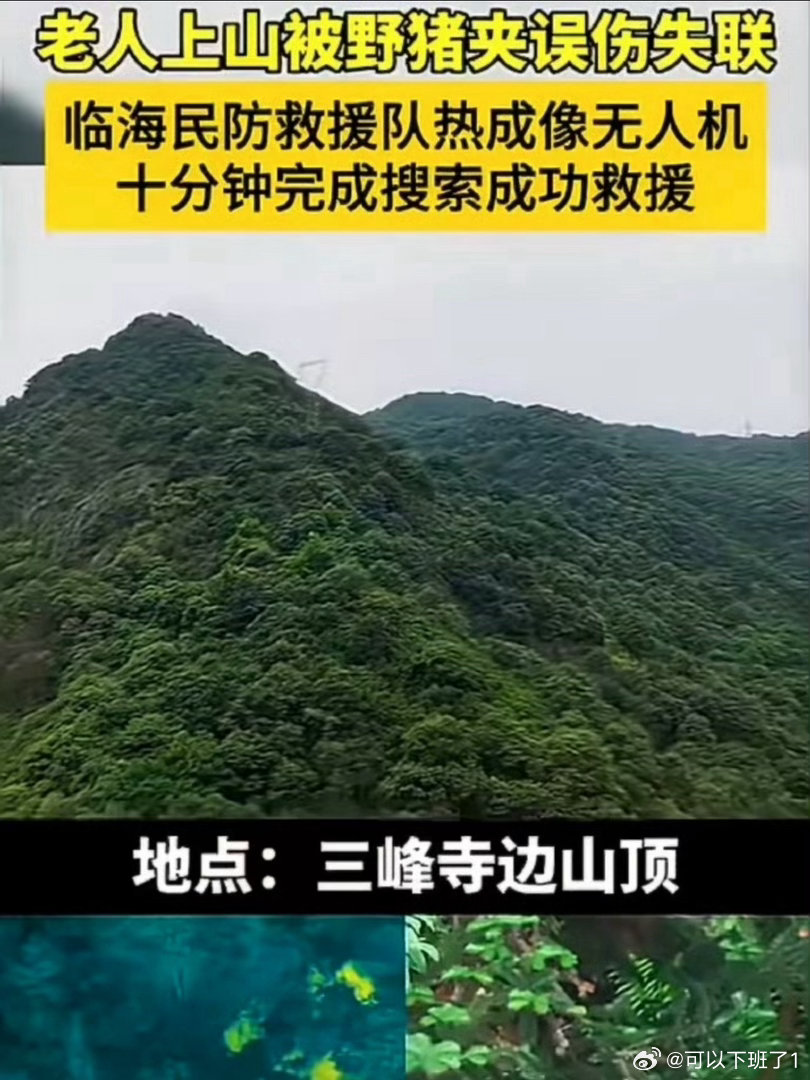 临海深山接力暖心救援失足坠坑老人踏险而行，向危前行！救援队伍克服山林复杂路况，成